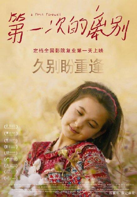 假假本科文凭
